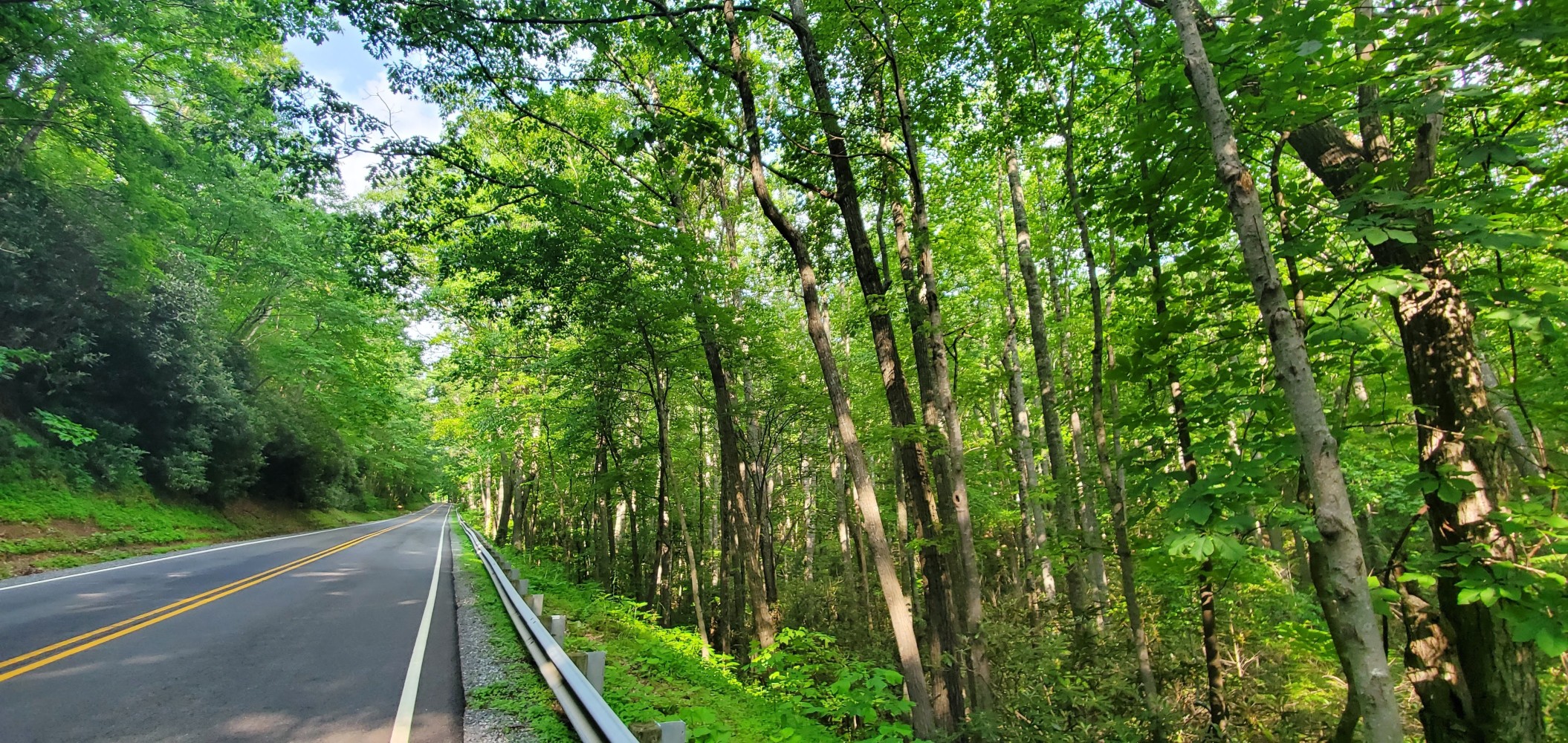 Another beautiful Virginia road.