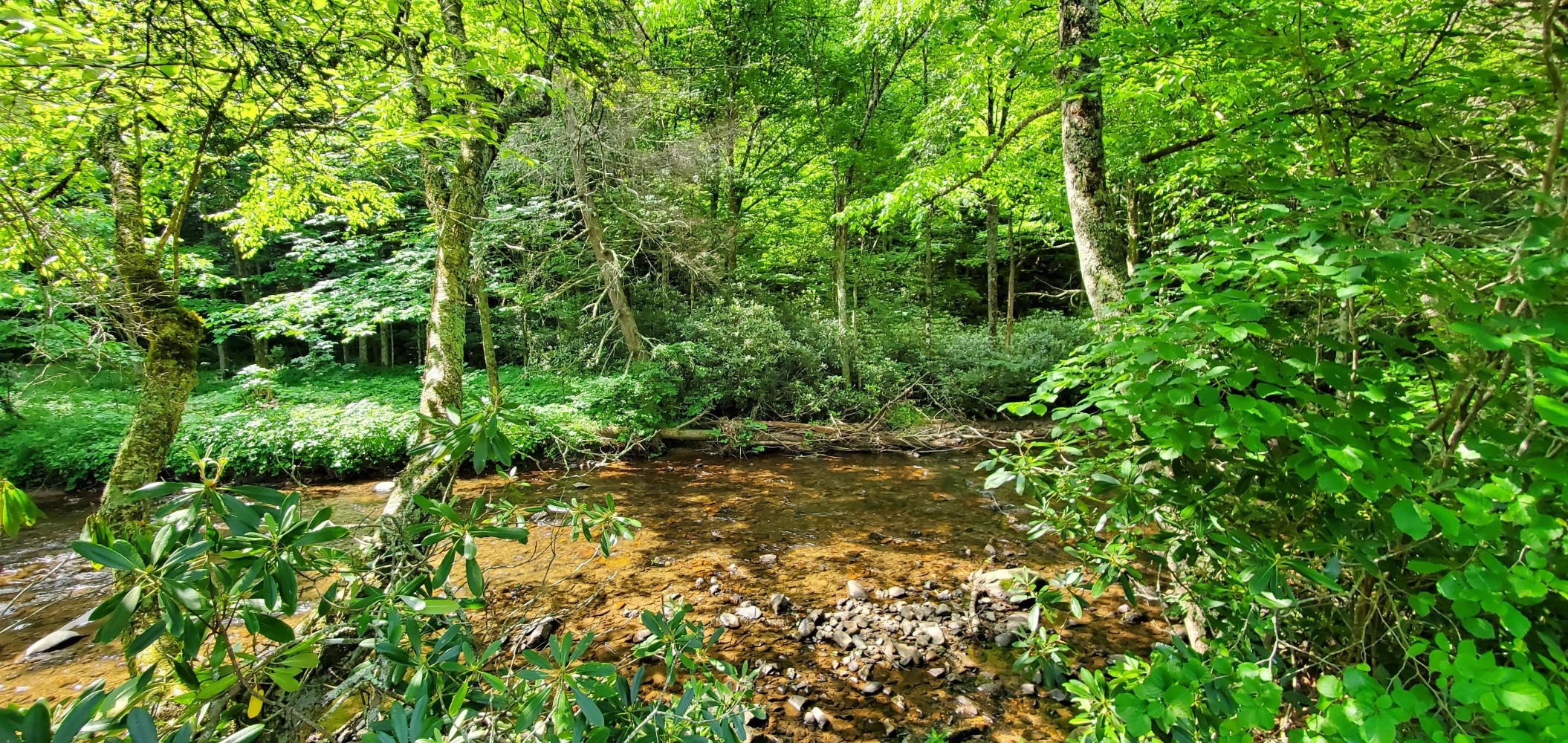 Stream beside the road