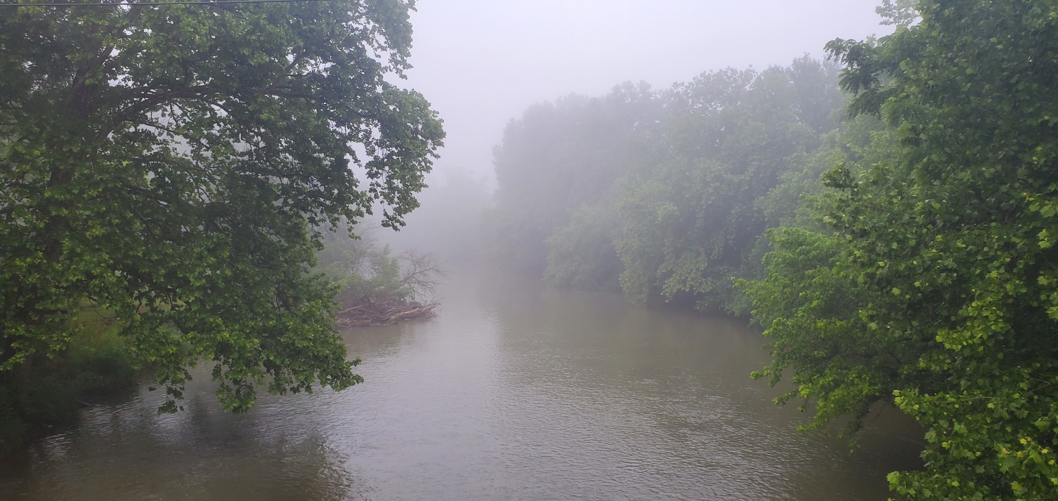 Foggy river