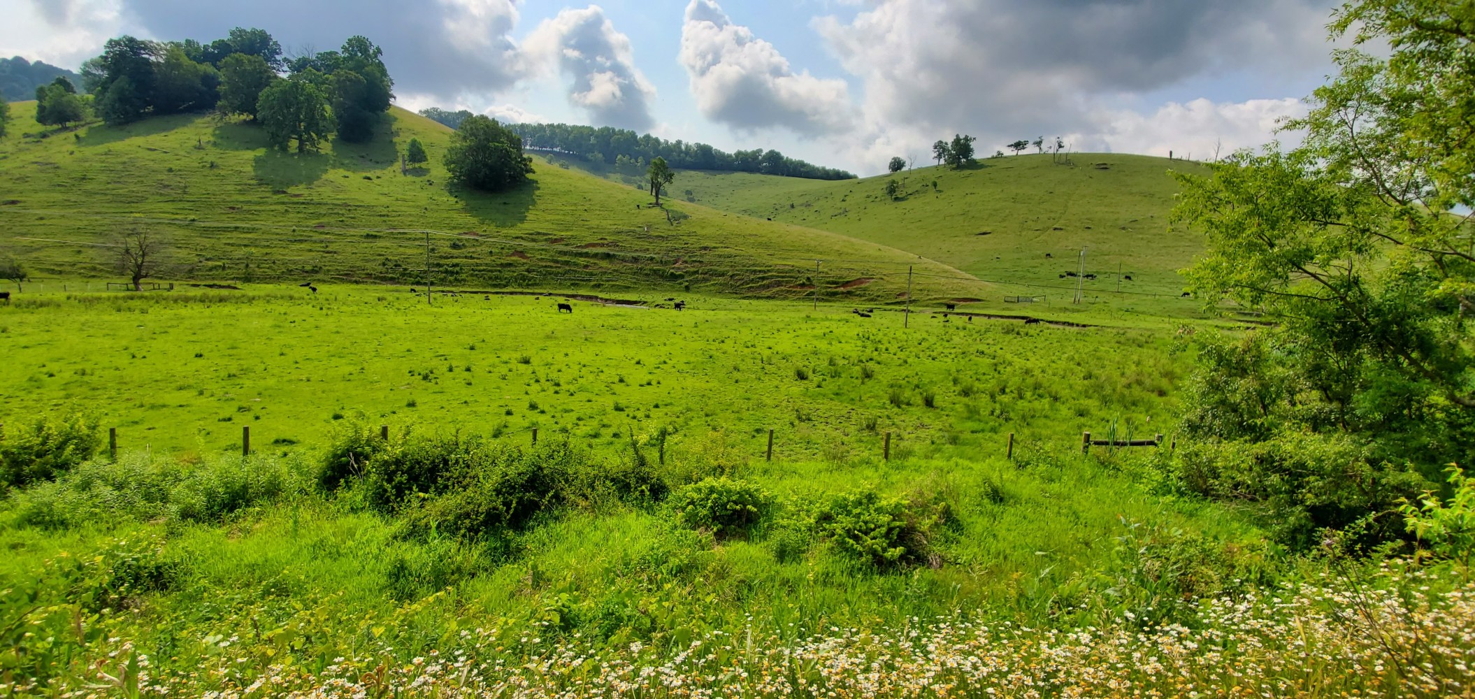 Hillside. There are cows if you look closely.