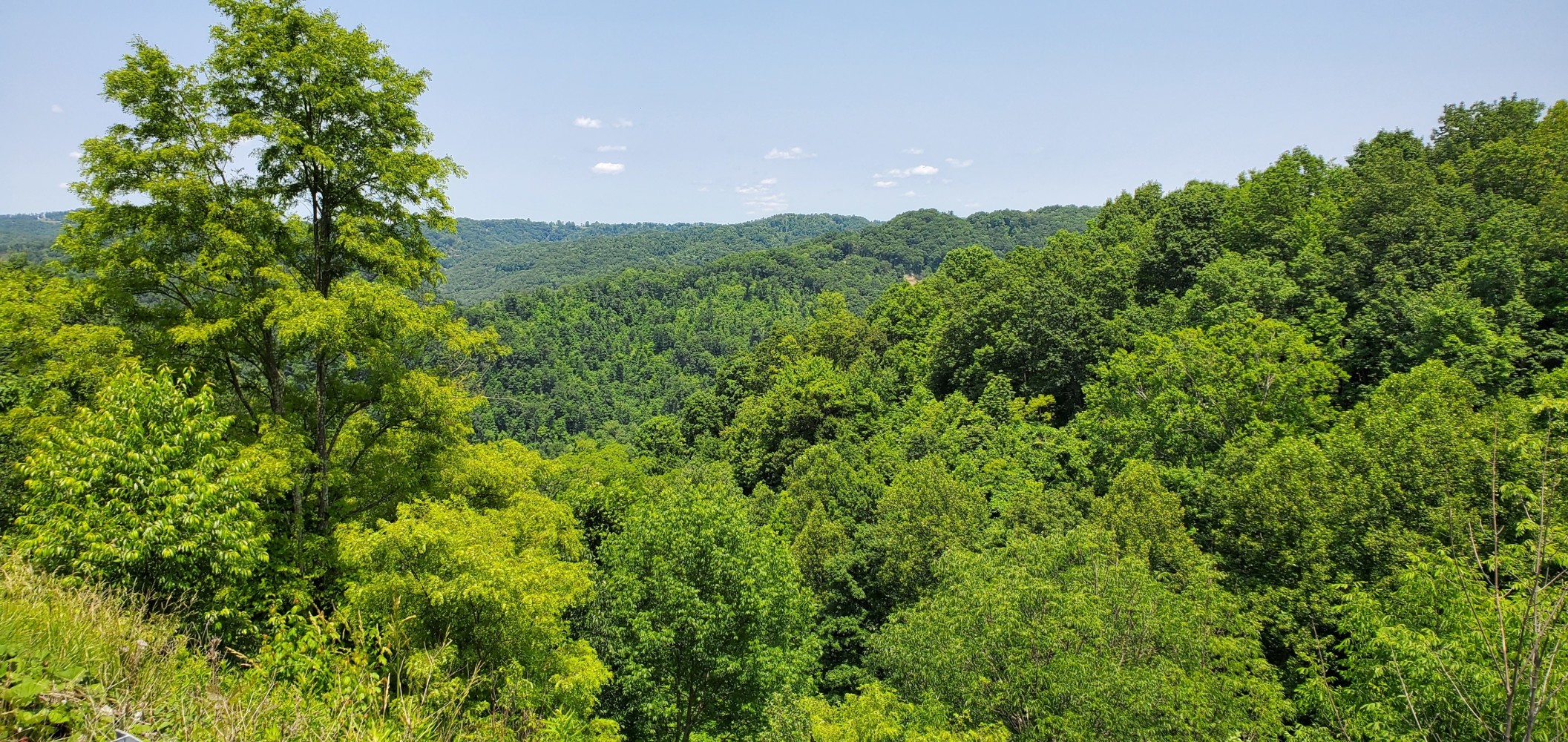 Overlook from the top of the second Virginia 80 climb.