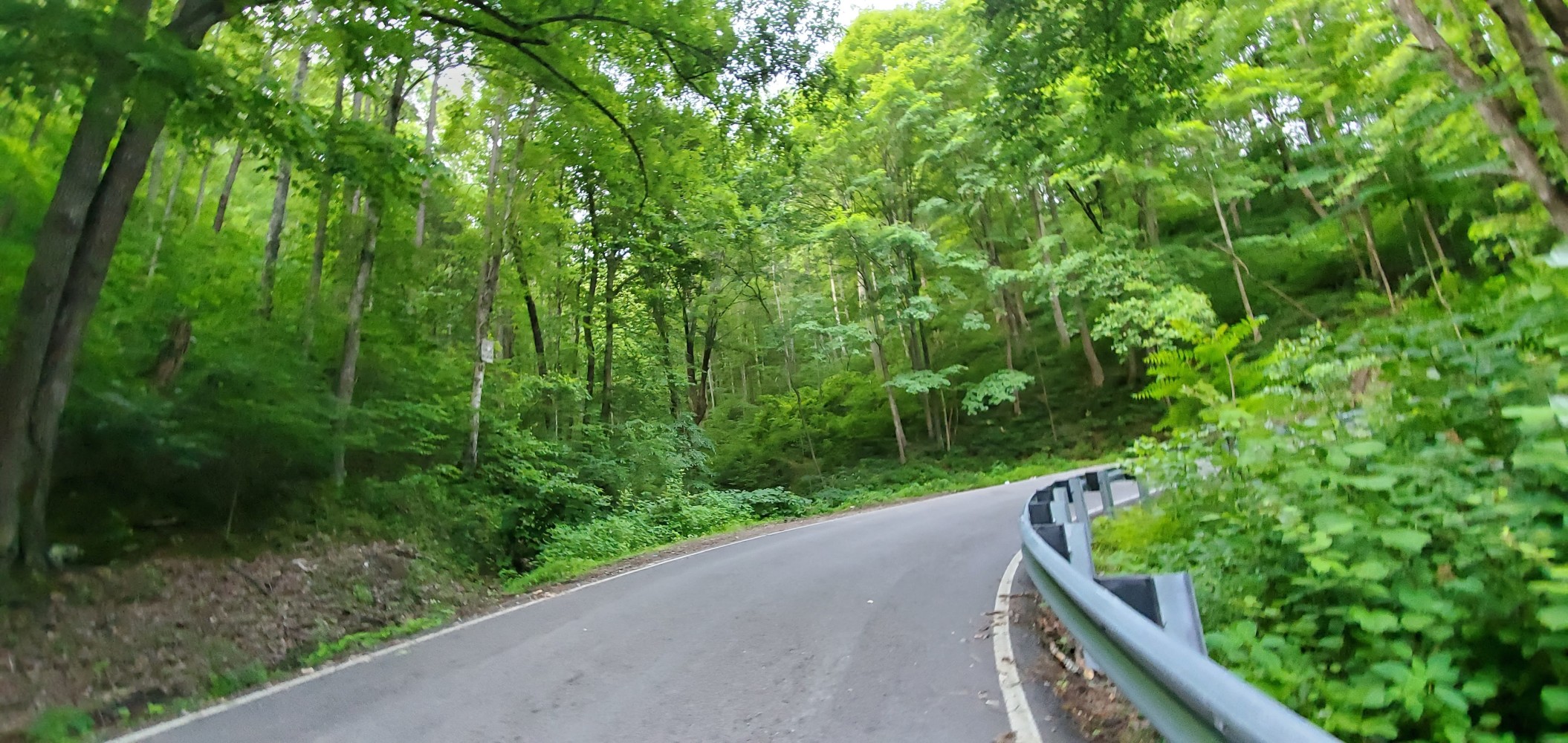Lush and hilly!