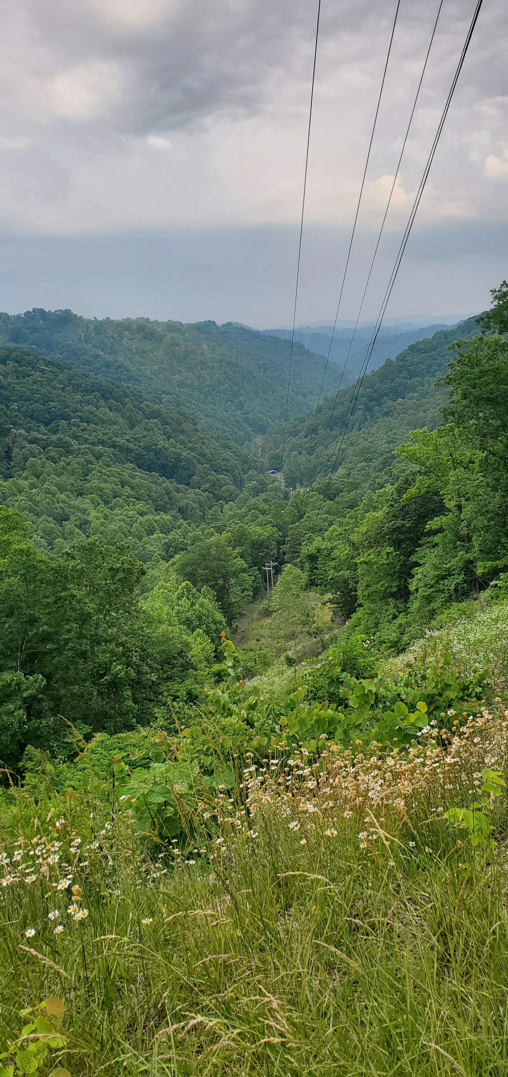 The view from the top of my first climb of the day