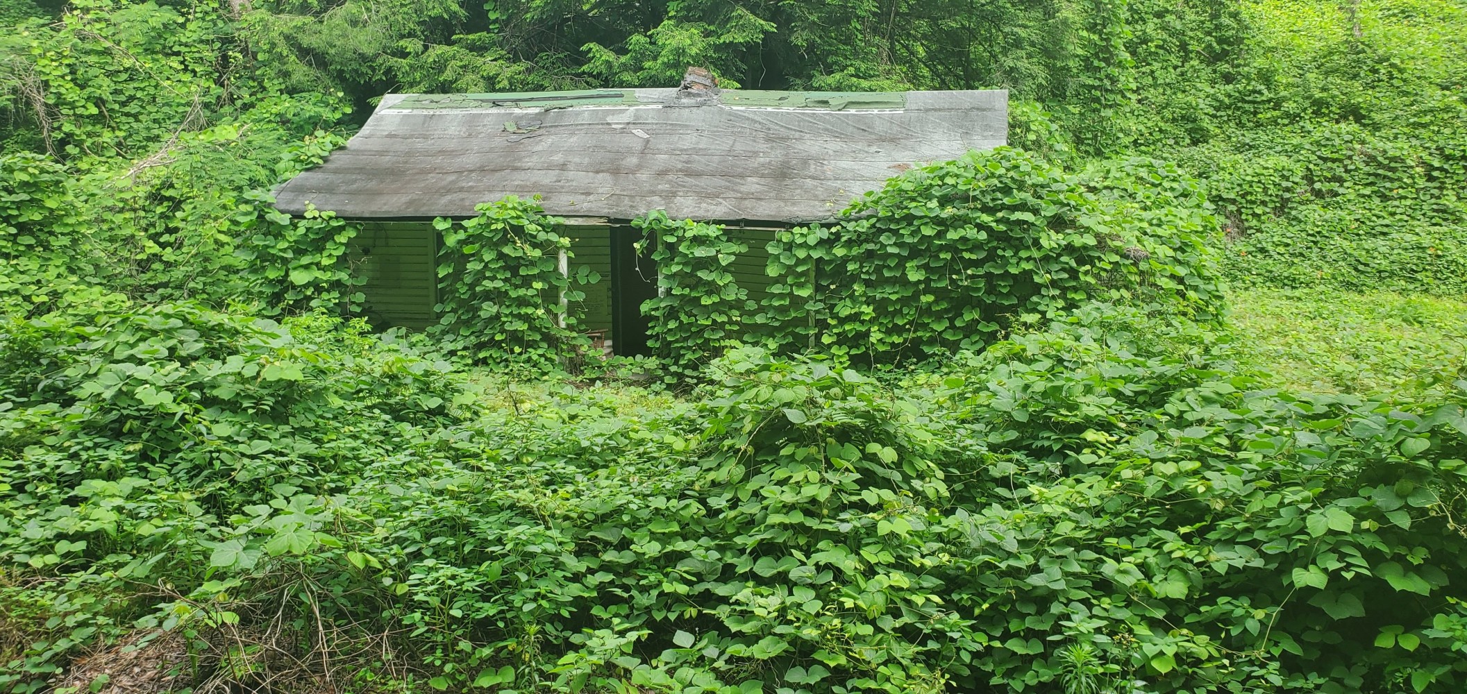 A collapsing house on the side of the road. There was a handwritten sign near the entrance, but I couldn't read it.