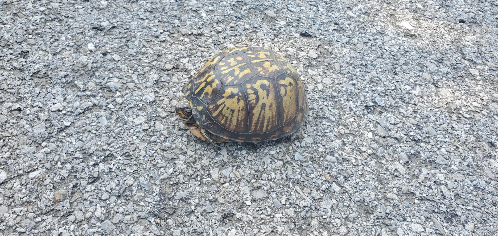 Before he decided to give me the cold shoulder.