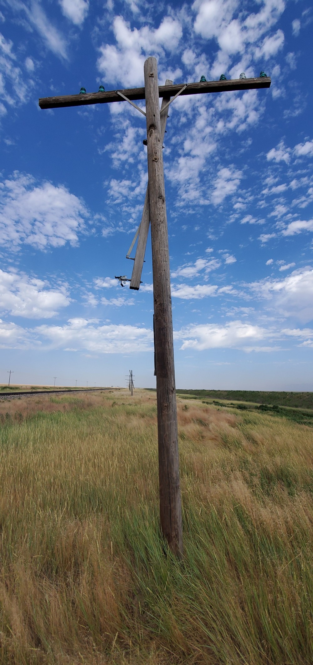 Derelict telephone poles alongside disused railroad tracks.