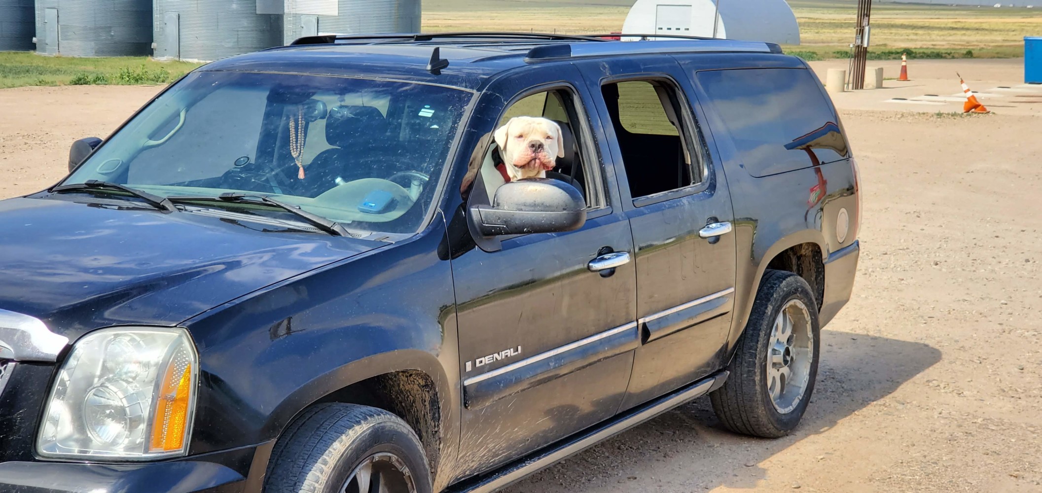 This big fellow looked friendly, but his dad warned me that he protects the car. Sure enough, he gave me a couple deep barks, so I kept my distance.