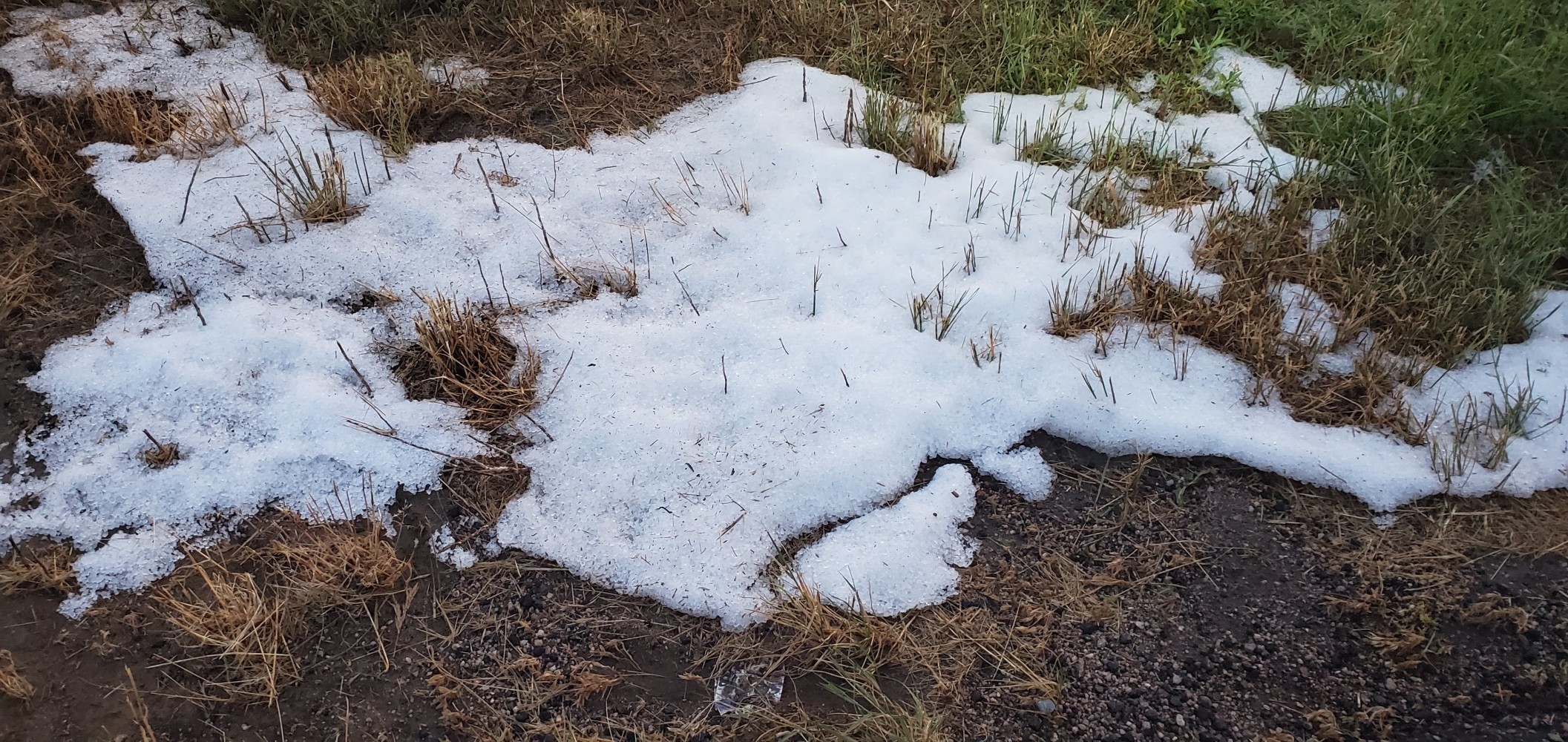 Piles of hail alongside the road from last night's thunderstorm. I thought it was snow when I first saw it.
