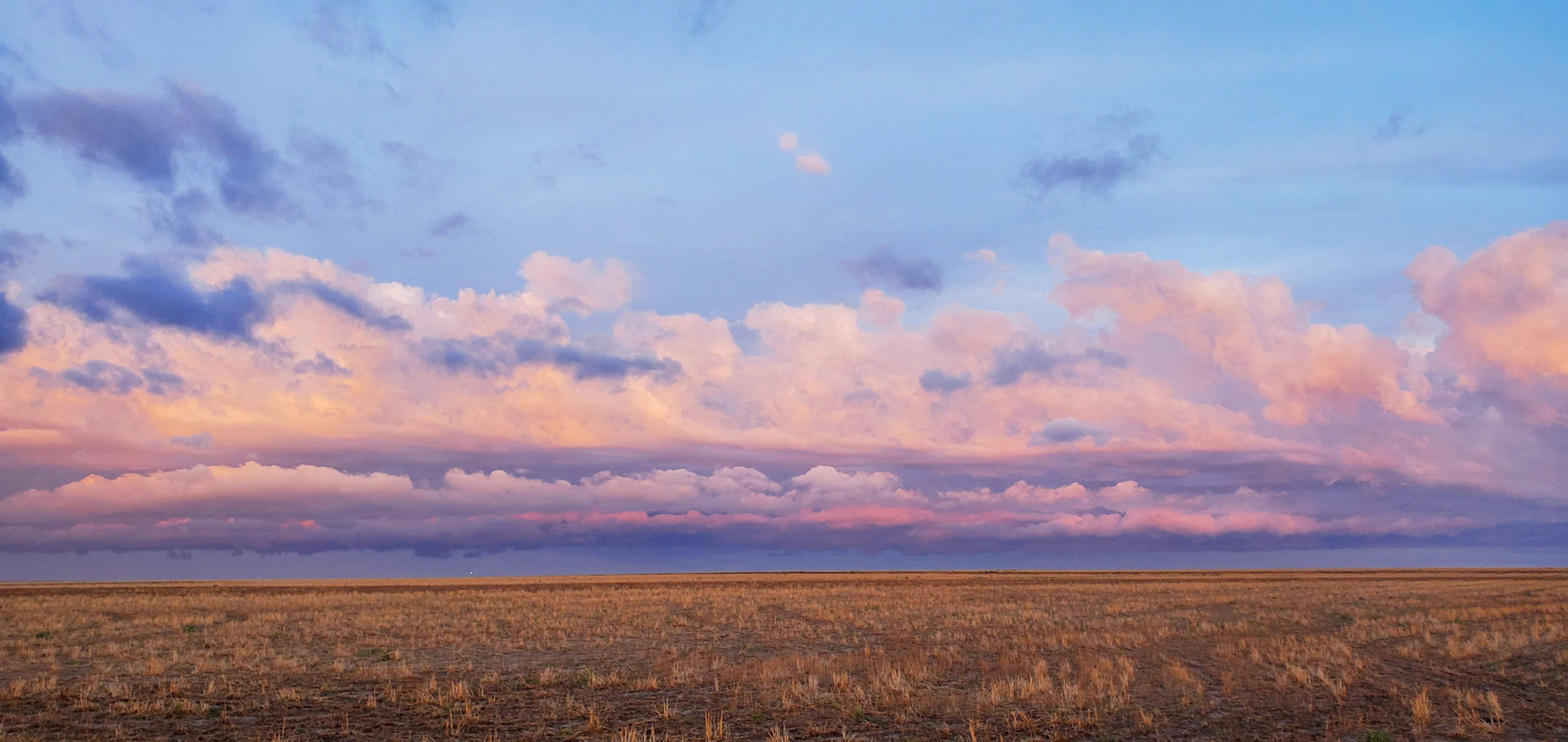 The clouds turned pink opposite the sunrise. I don't think this picture really captures how beautiful it was.