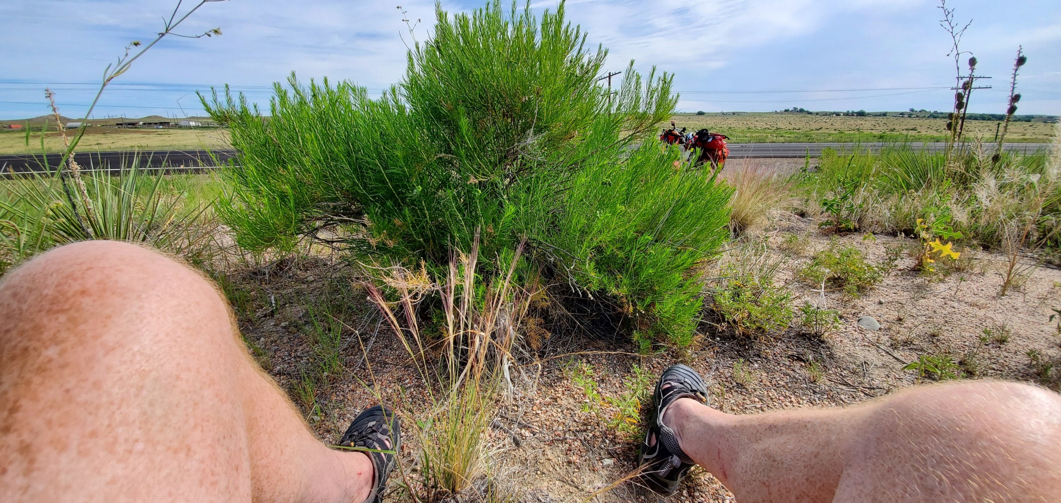 Sitting by the side of the road.