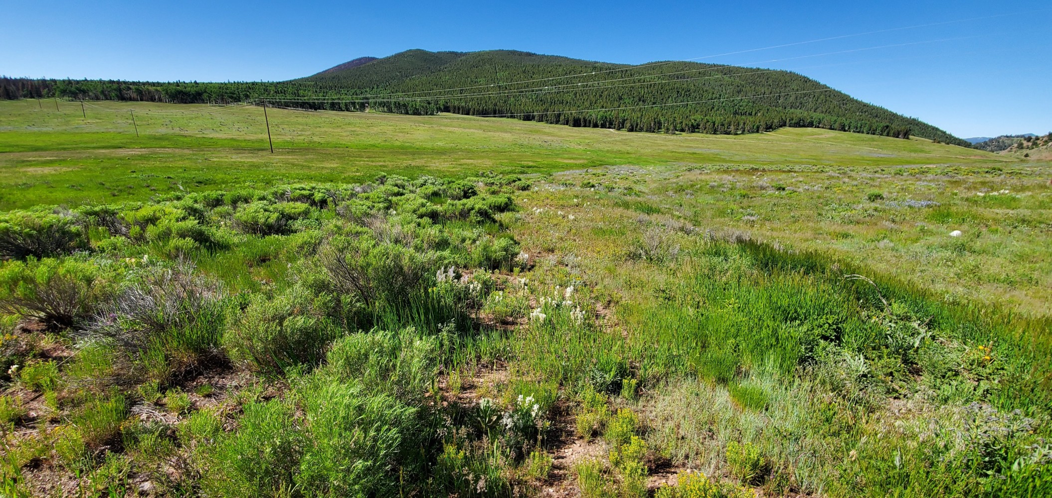 A really pretty valley on the west side of the pass.