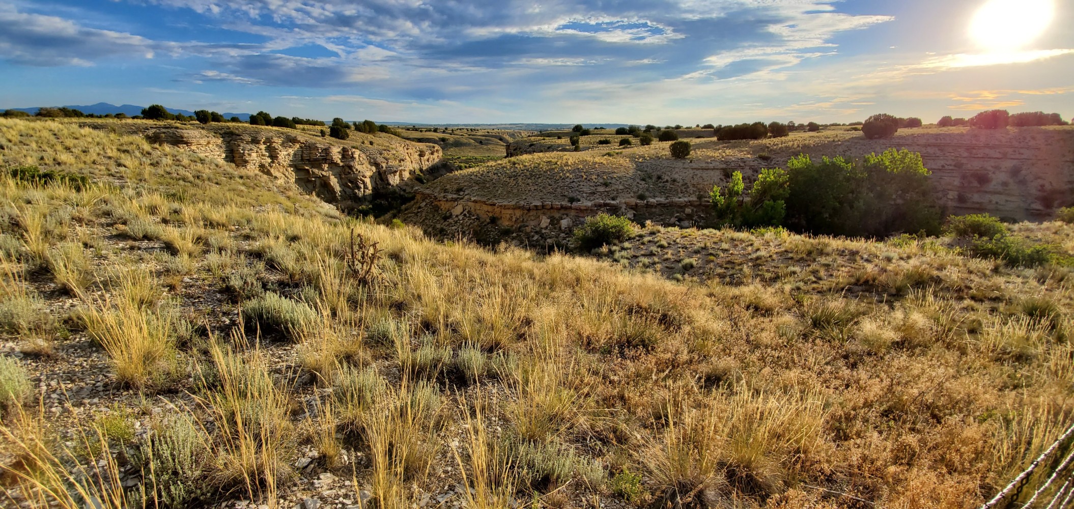 A deep gully, almost a little canyon, beside the road east of Pueblo.