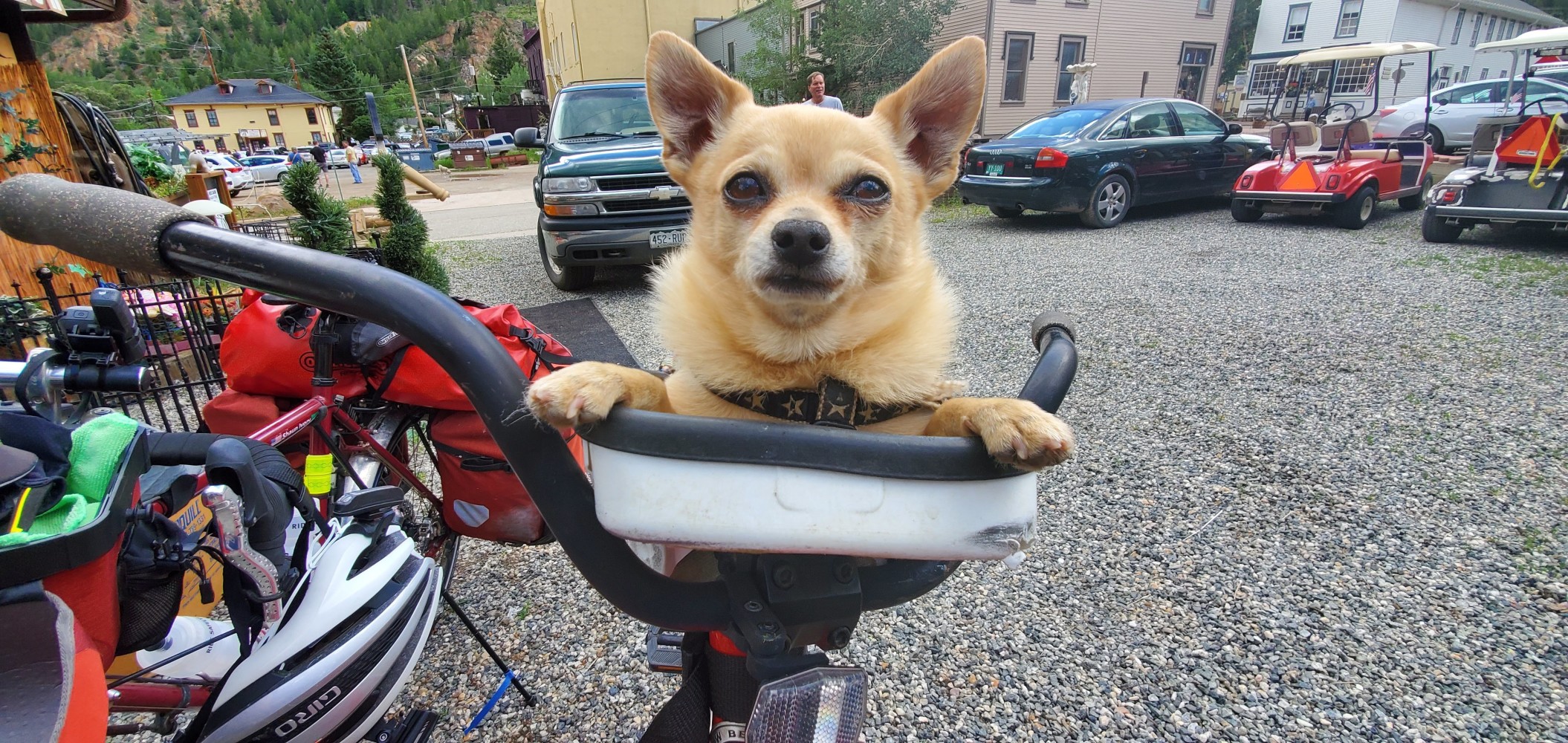 Brodie in his throne.