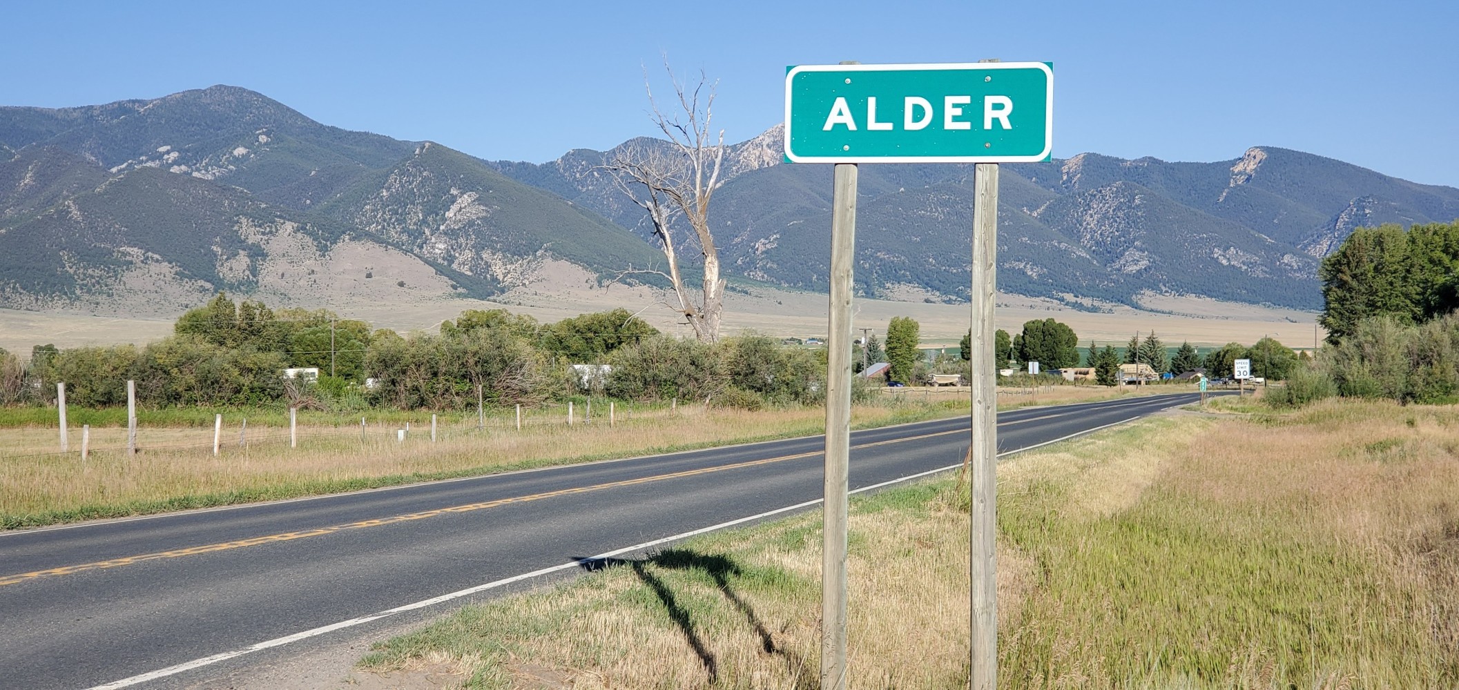 I took this for my friend Machiko's son, Alder.