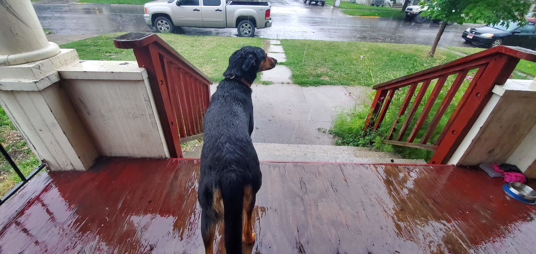 Sully was standing in the hailstorm with his eyes squinting to slits while the rest of us stood under the balcony.