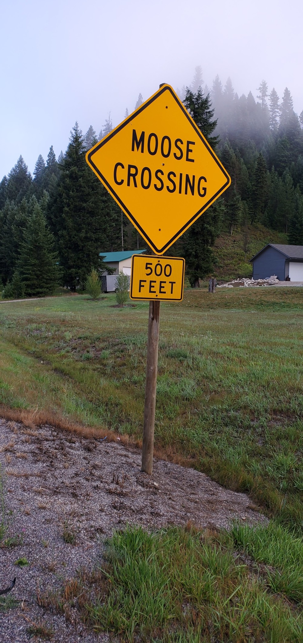 Sadly, no moose!
