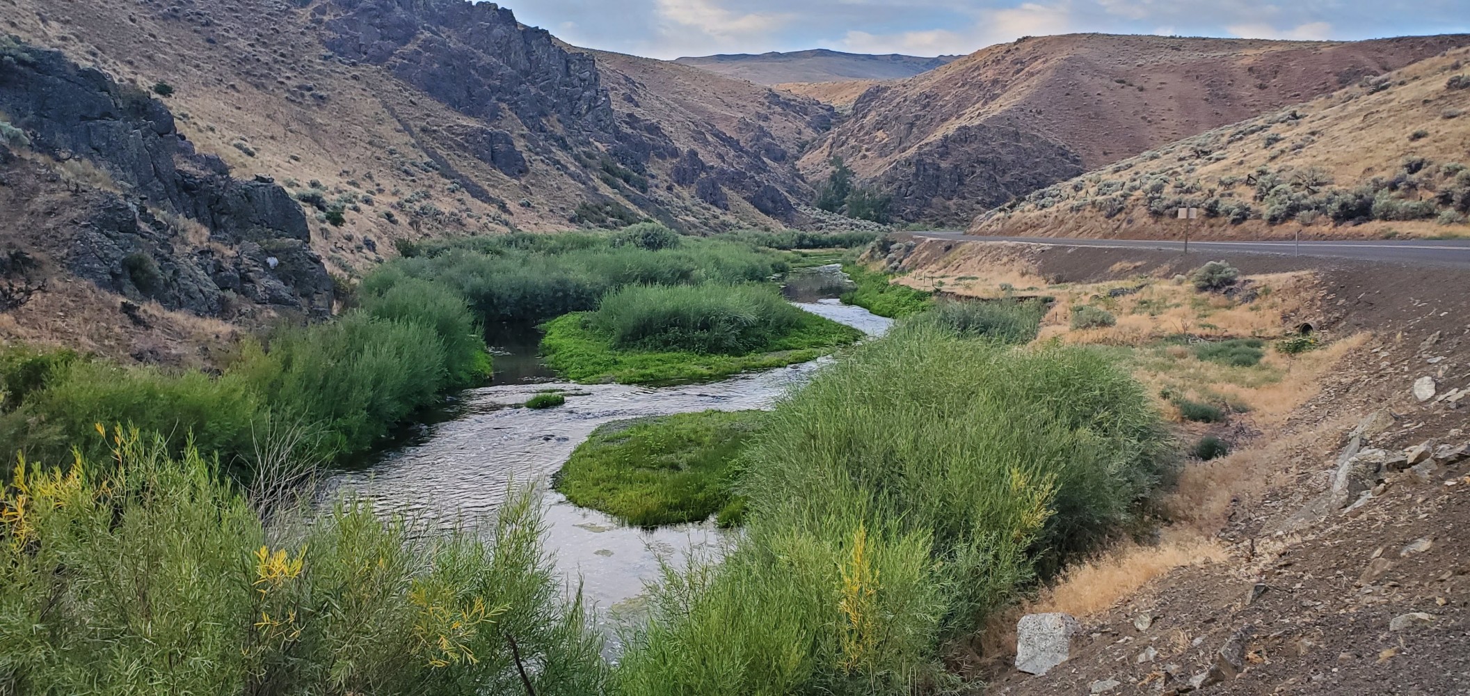 I can't find the name of this little river that runs alongside highway 86, but it was so pretty, in contrast to the brown hills.