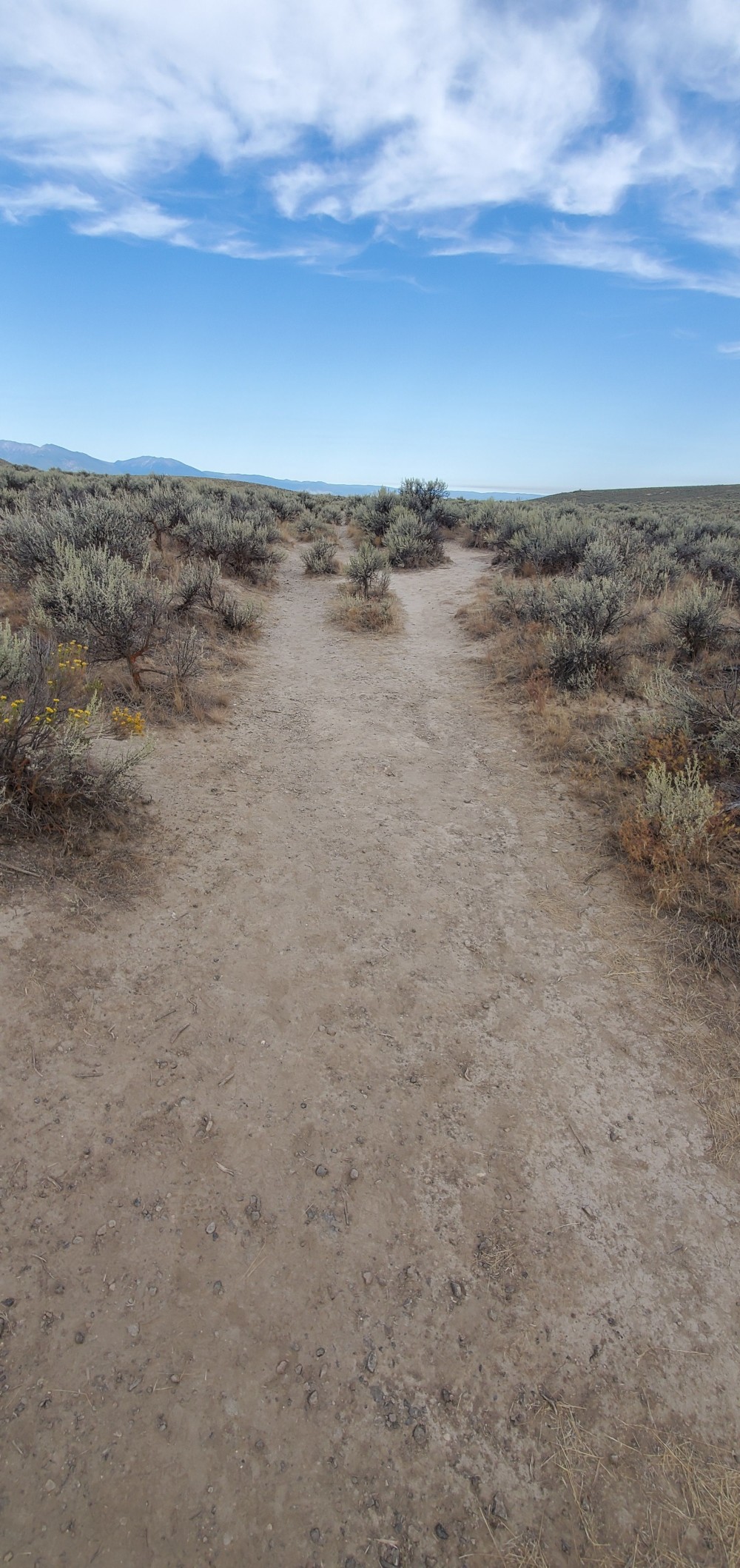 This is, allegedly, original ruts from the Oregon Trail! I didn't die of dysentery, thankfully! 😁