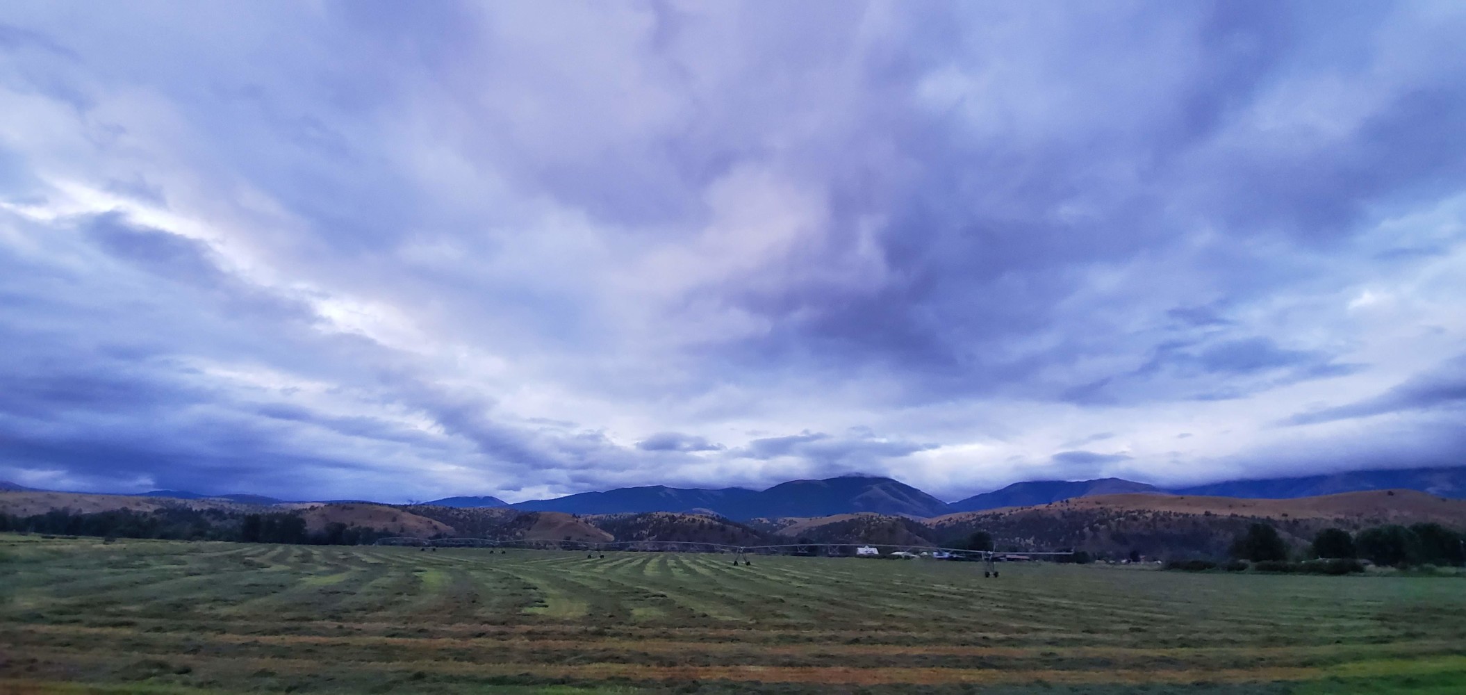 I woke up to light rain, which caught me completely by surprise. So, instead of a sunrise picture, this is what you get!