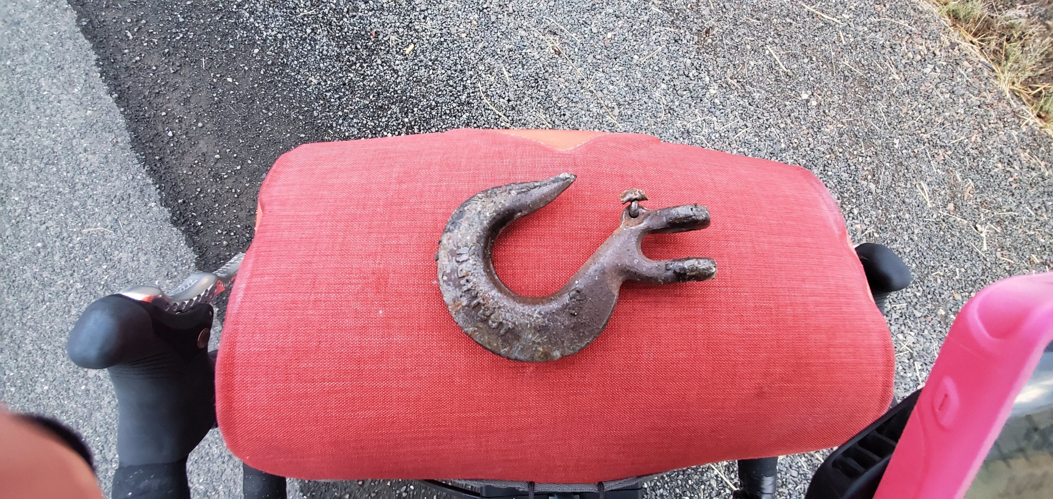 Tool find! Another baby dragon!