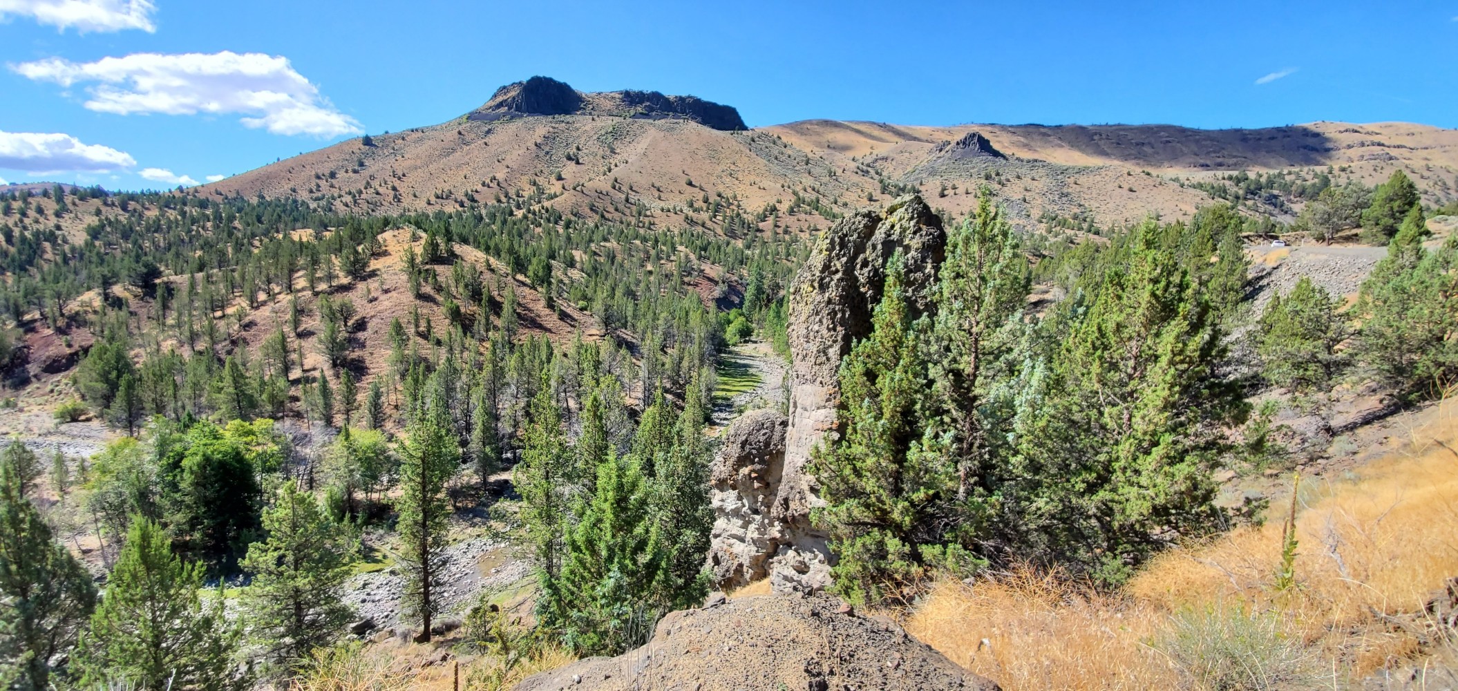 I stopped for this picture because of the volcanic column to the right of the center.