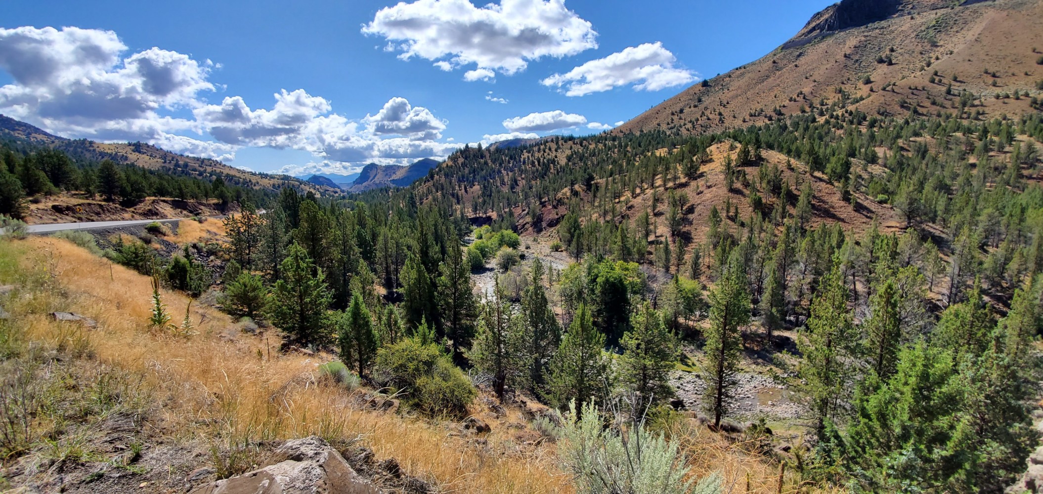 This is the view to the left of the photo above.