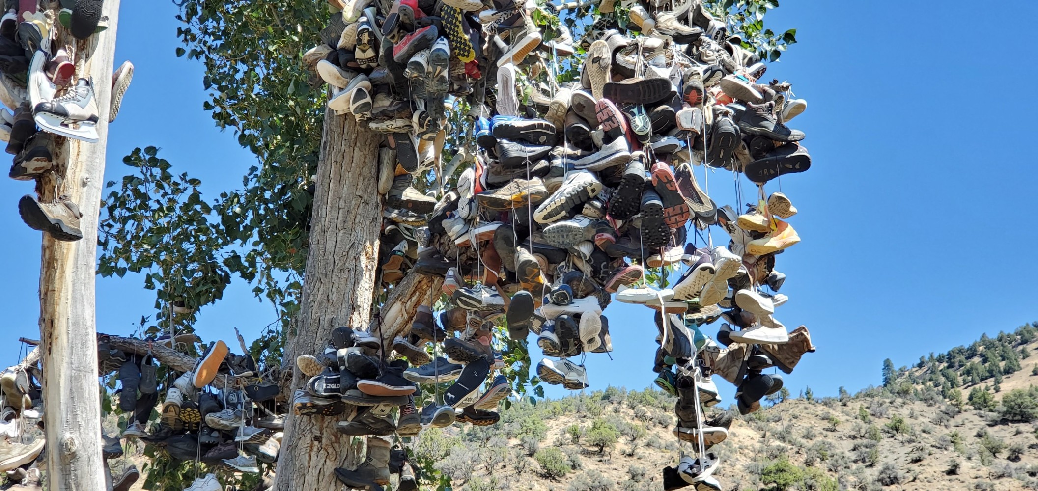 Closeup of the shoes.