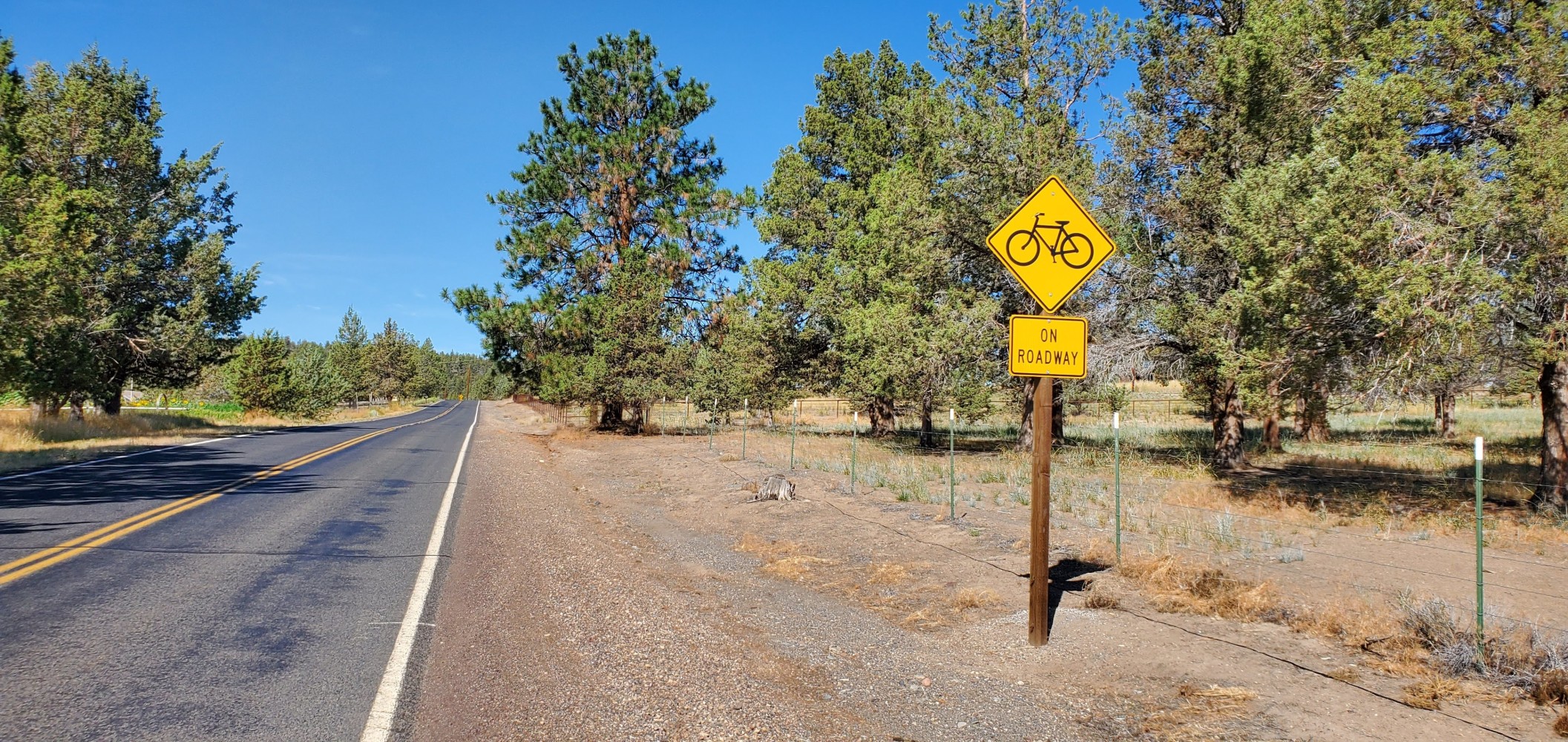 I love seeing these signs!