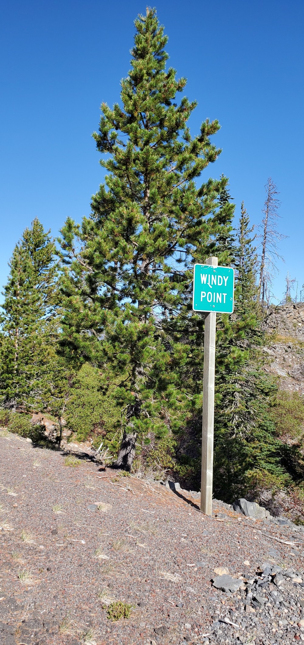 It was very windy indeed!