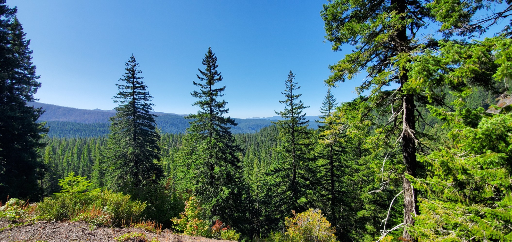 View from a curve on the descent
