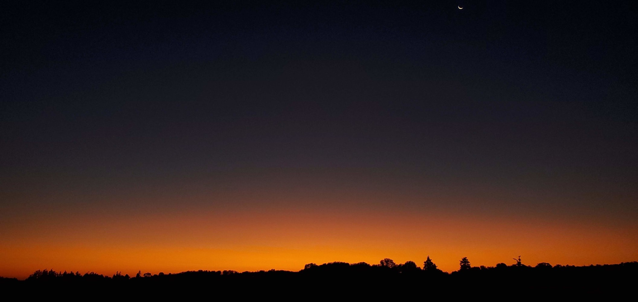 Dawn in the Willamette Valley