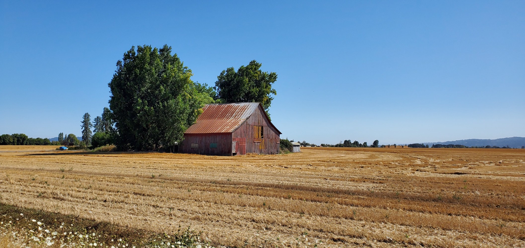 A red barn, not to be confused with The Red Barn near Carnation, WA.