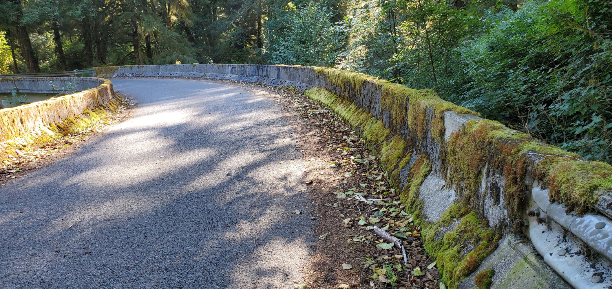 A moss covered bridge on Old Scenic 101.