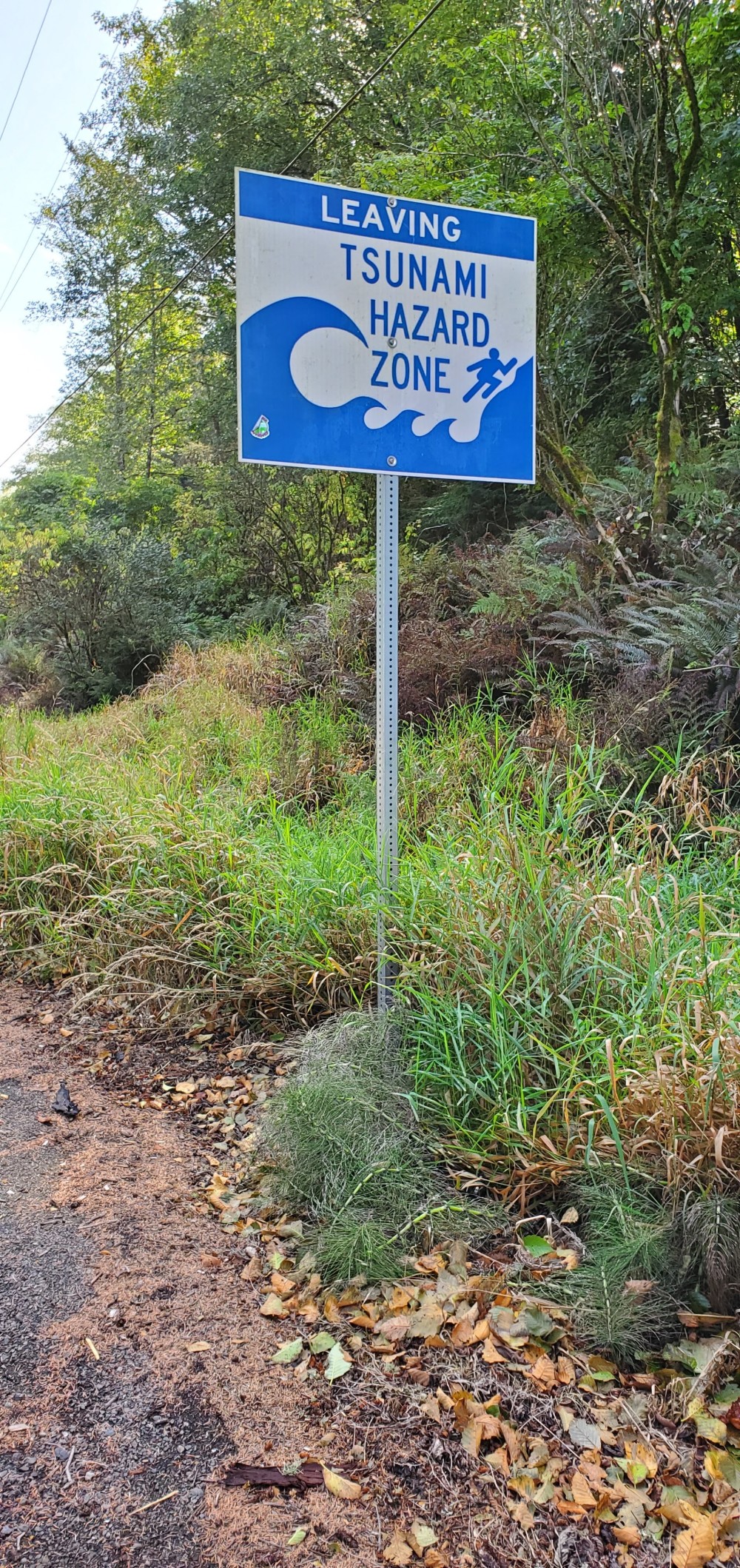 Hmmm. Apparently there was an undersea earthquake in Oregon today, but I was oblivious.