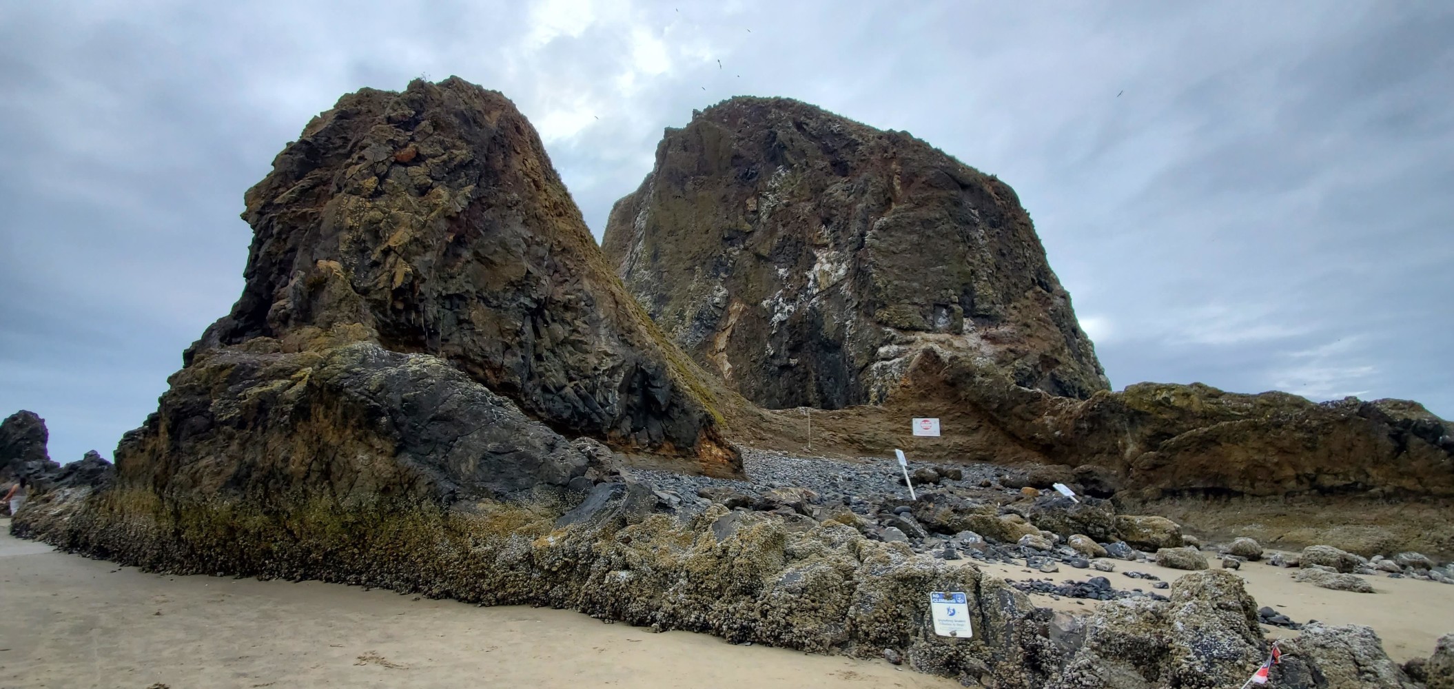Haystack Rock, Cannon Beach
