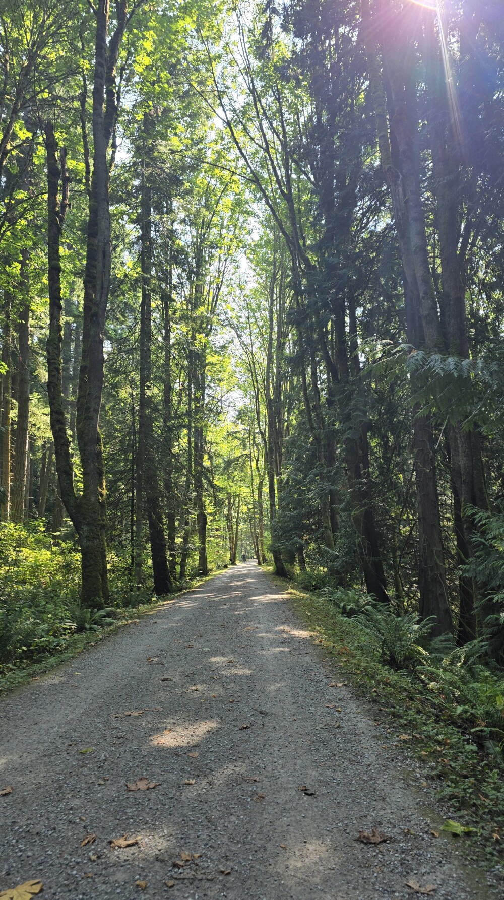 The Interurban Trail