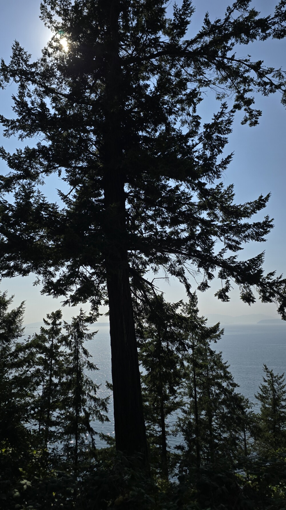 Chuckanut Drive