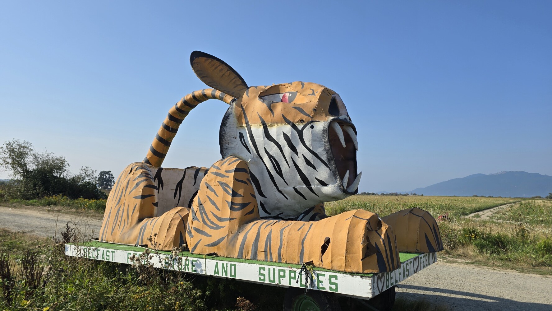 A tiger, created by someone I am not sure has ever seen a tiger.