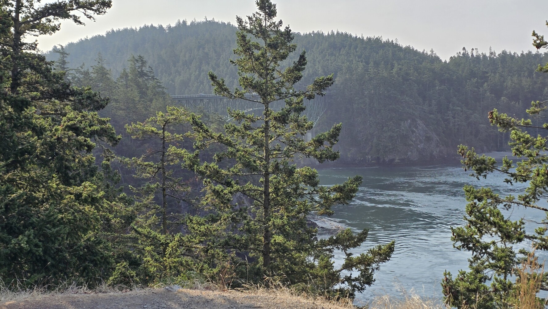 Deception Pass Bridge