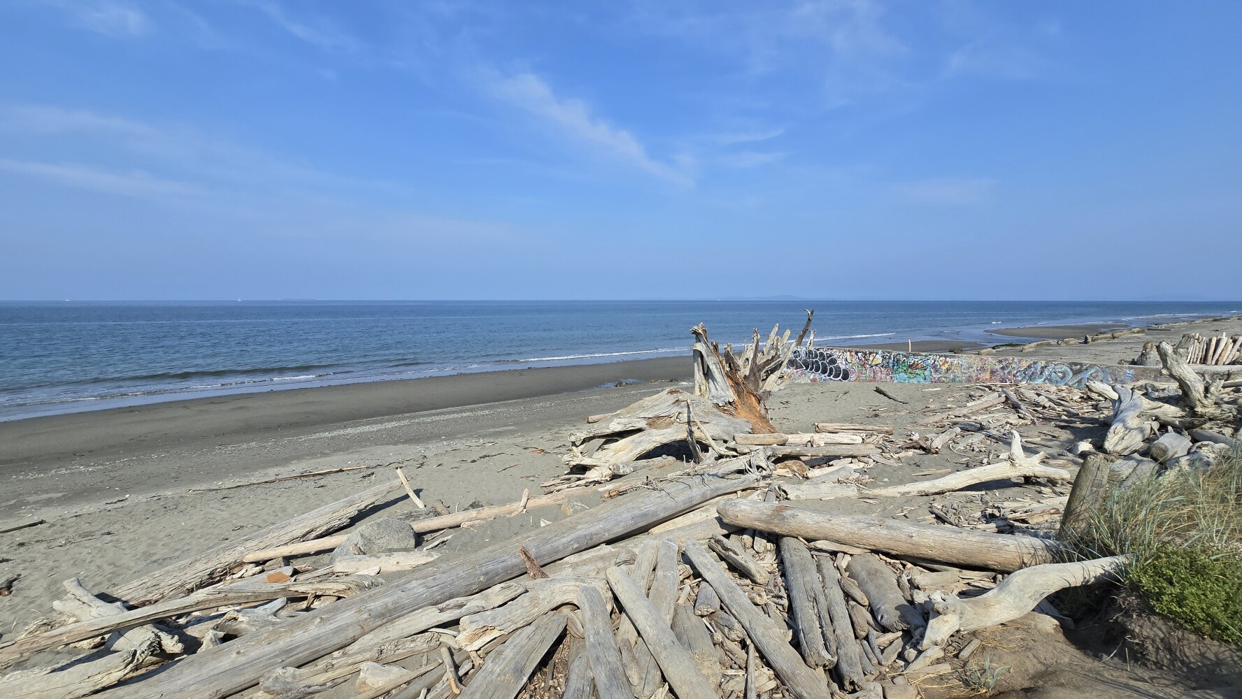 The beach in Swantown, WA