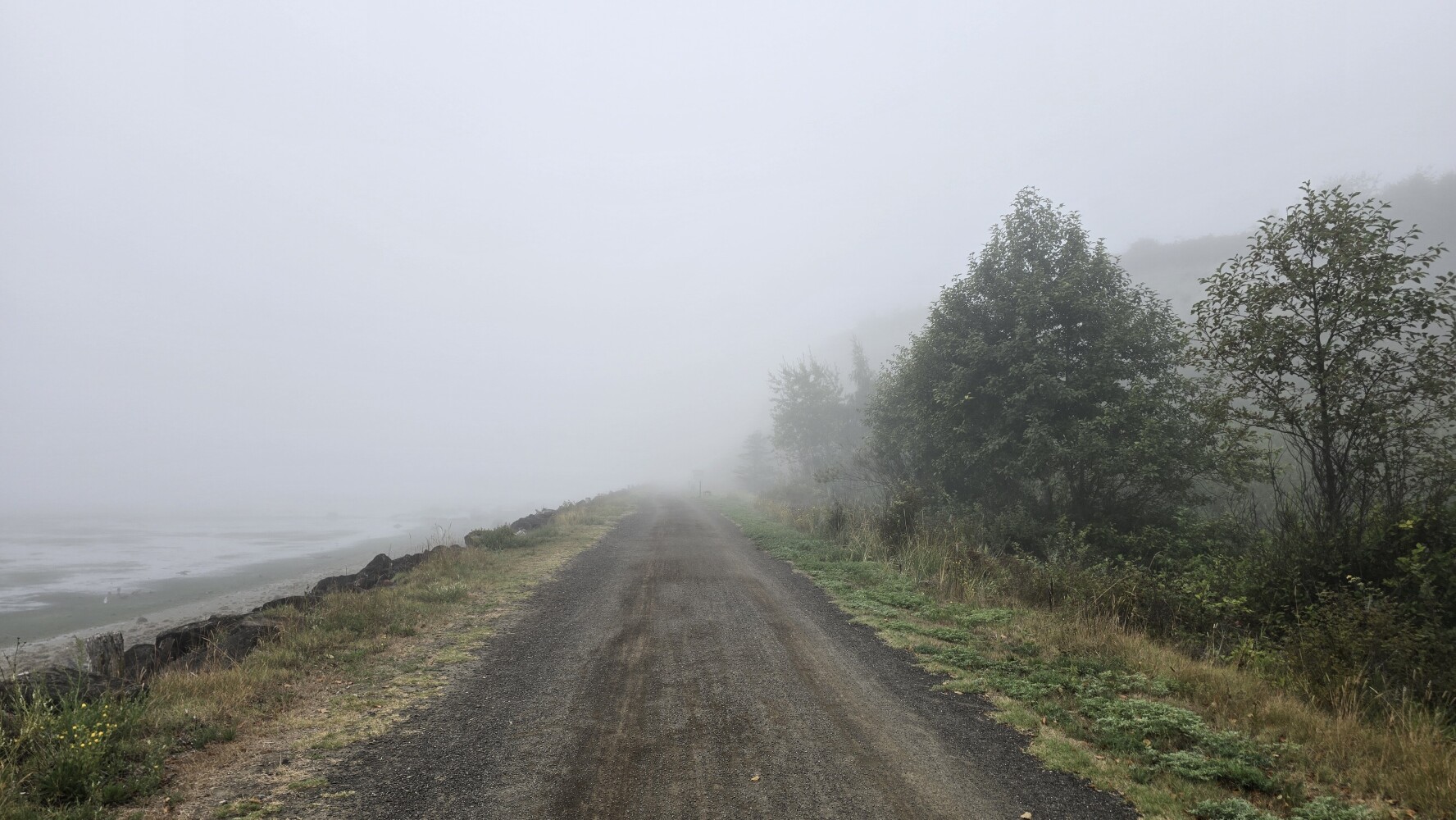 Fog on the trail