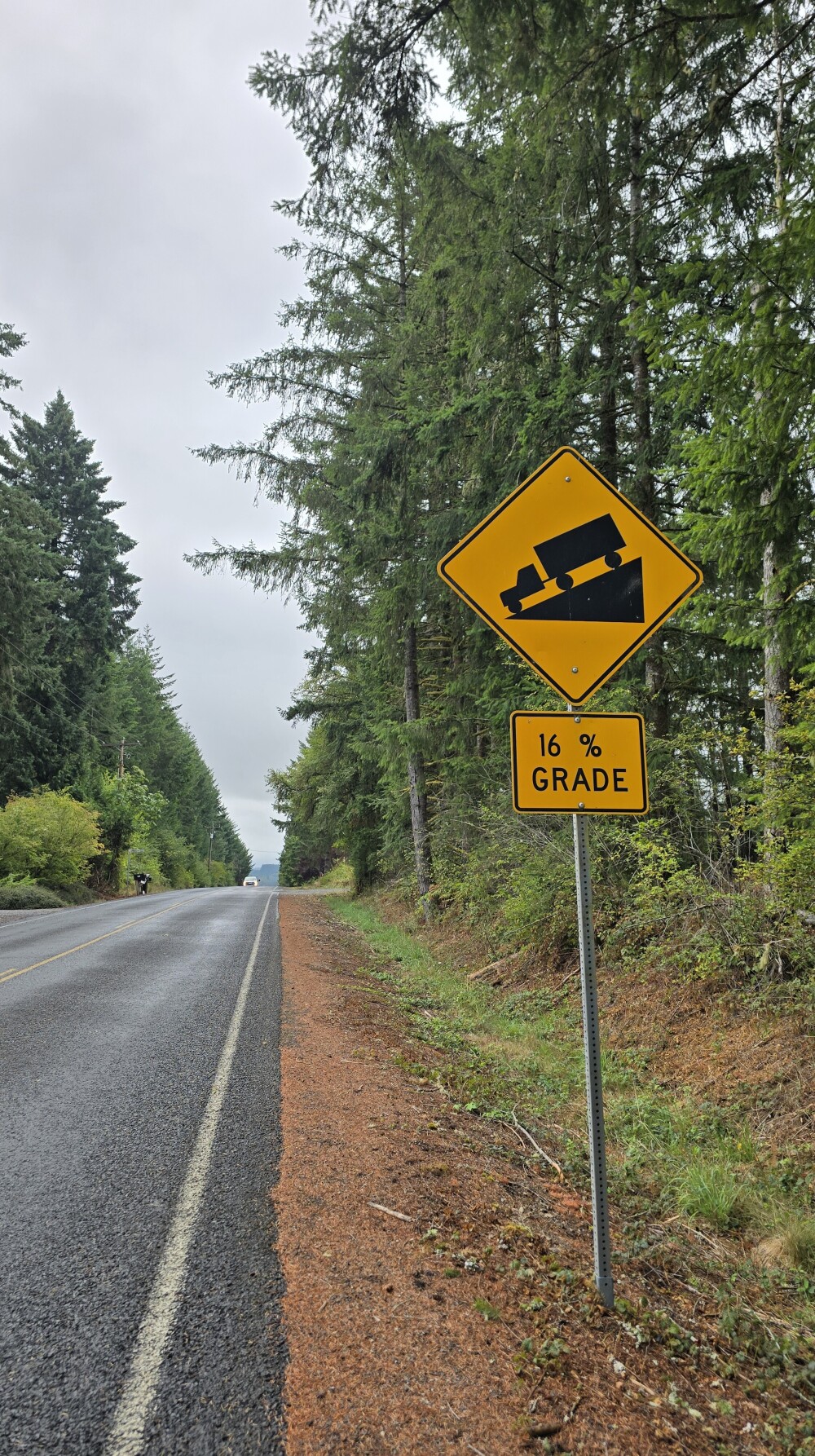 I hit 38.6 MPH on this hill, while feathering the brakes - there were a couple driveways and intersections and the road was wet. Gravity loves my bike... going downhill!