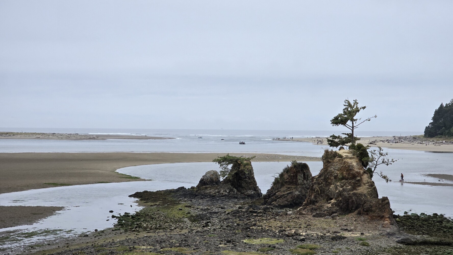 Rocks south of Lincoln City, OR