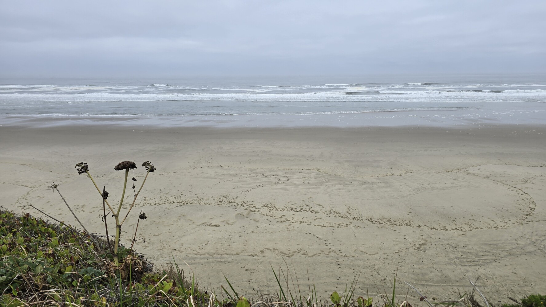 South Beach, south of Newport, Oregon
