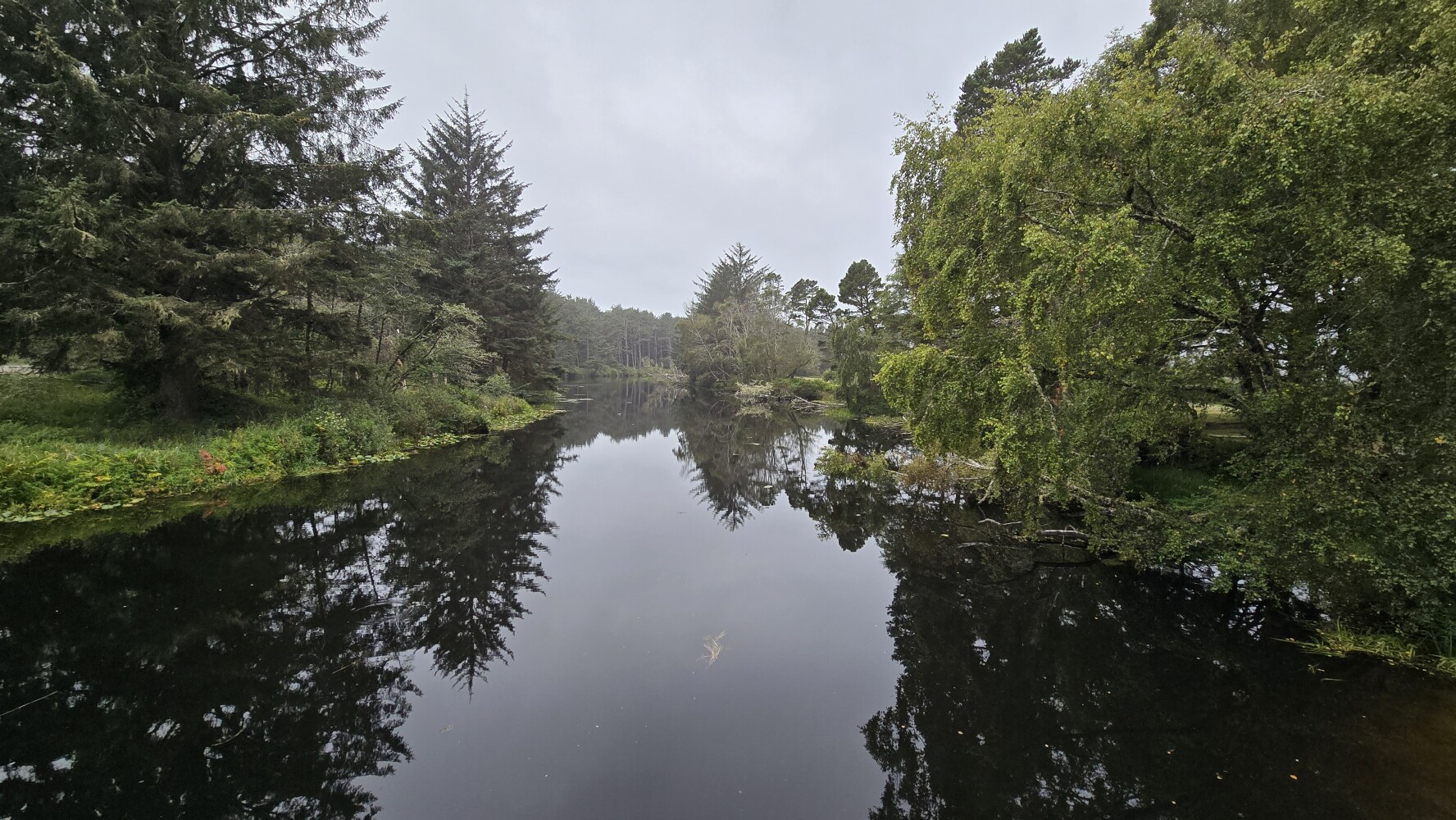 Beaver Creek in Ona Beach State Park
