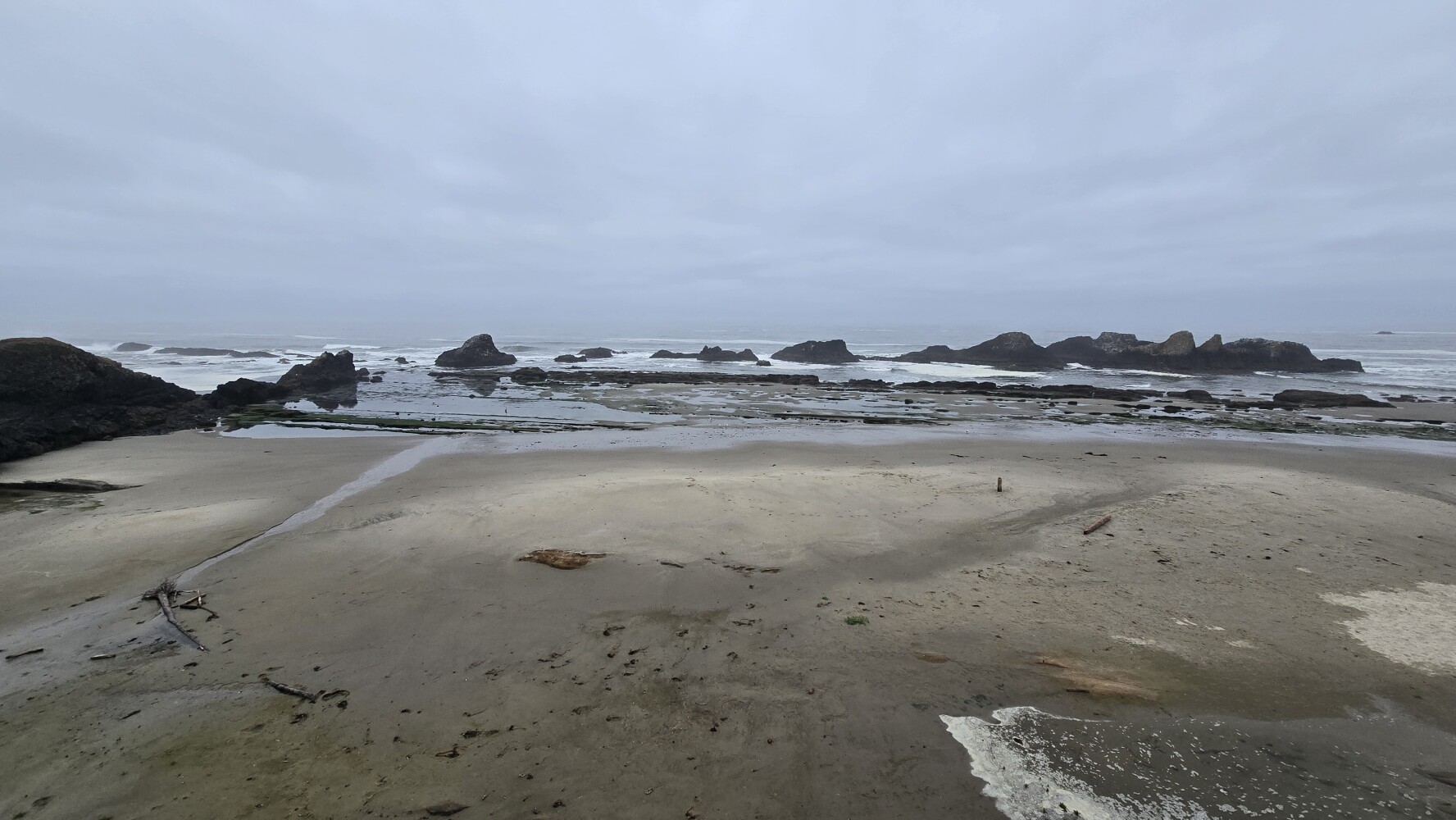 Seal Rock. There are seals, or sea lions, out there!