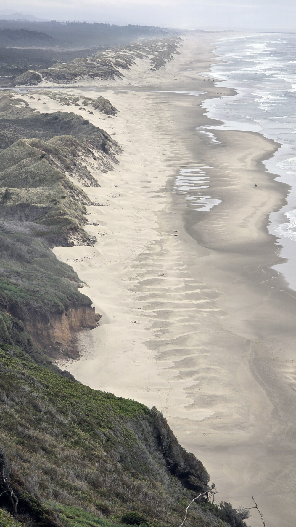 This was honestly the impressive thing I've seen yet. I had mild vertigo trying to take in the expanse of sand dunes from the couple hundred feet height of this view. So incredible!