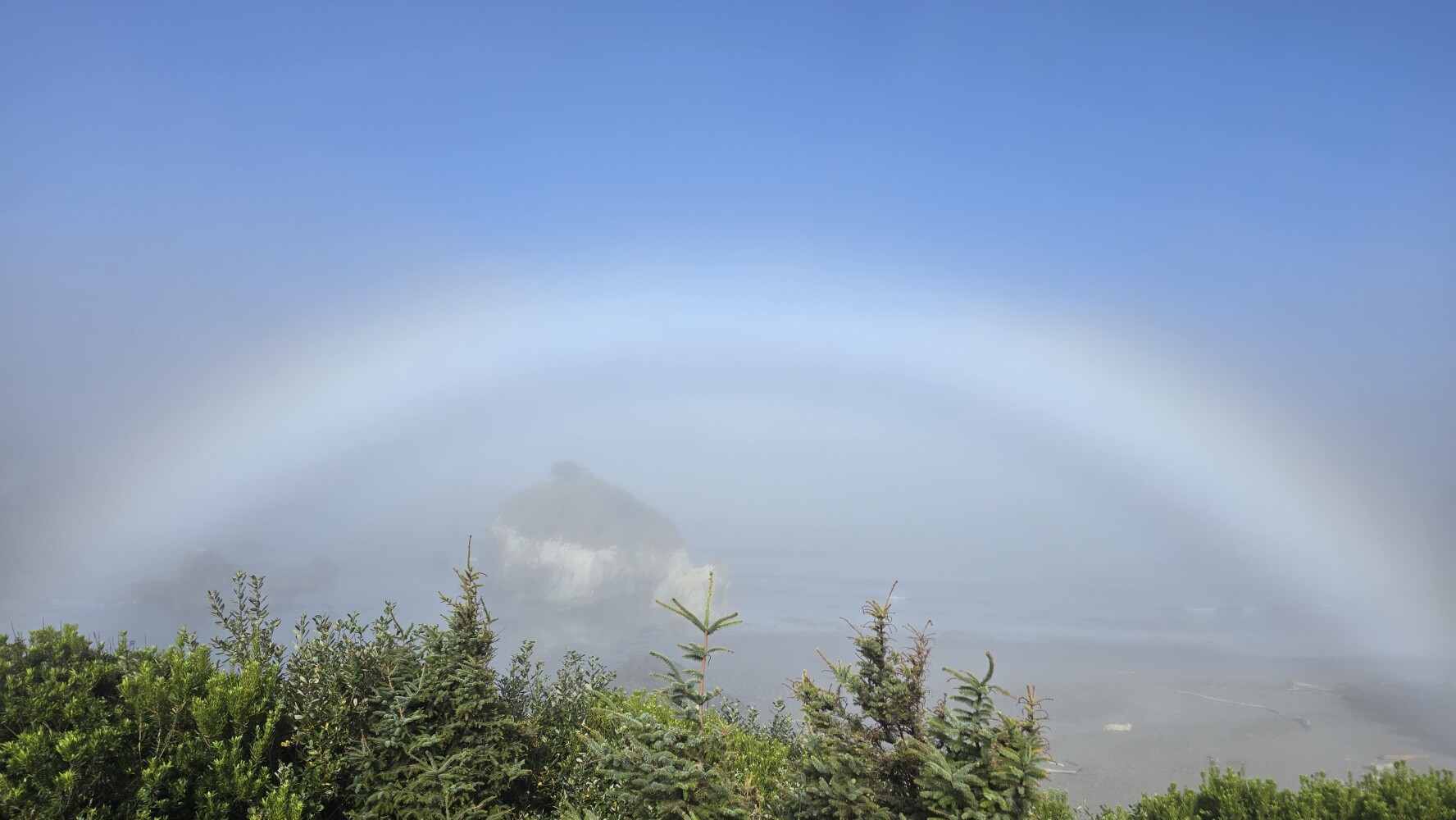 A fog bow!