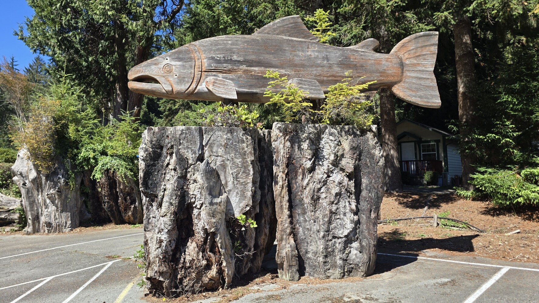 Salmon sculpture outside the store