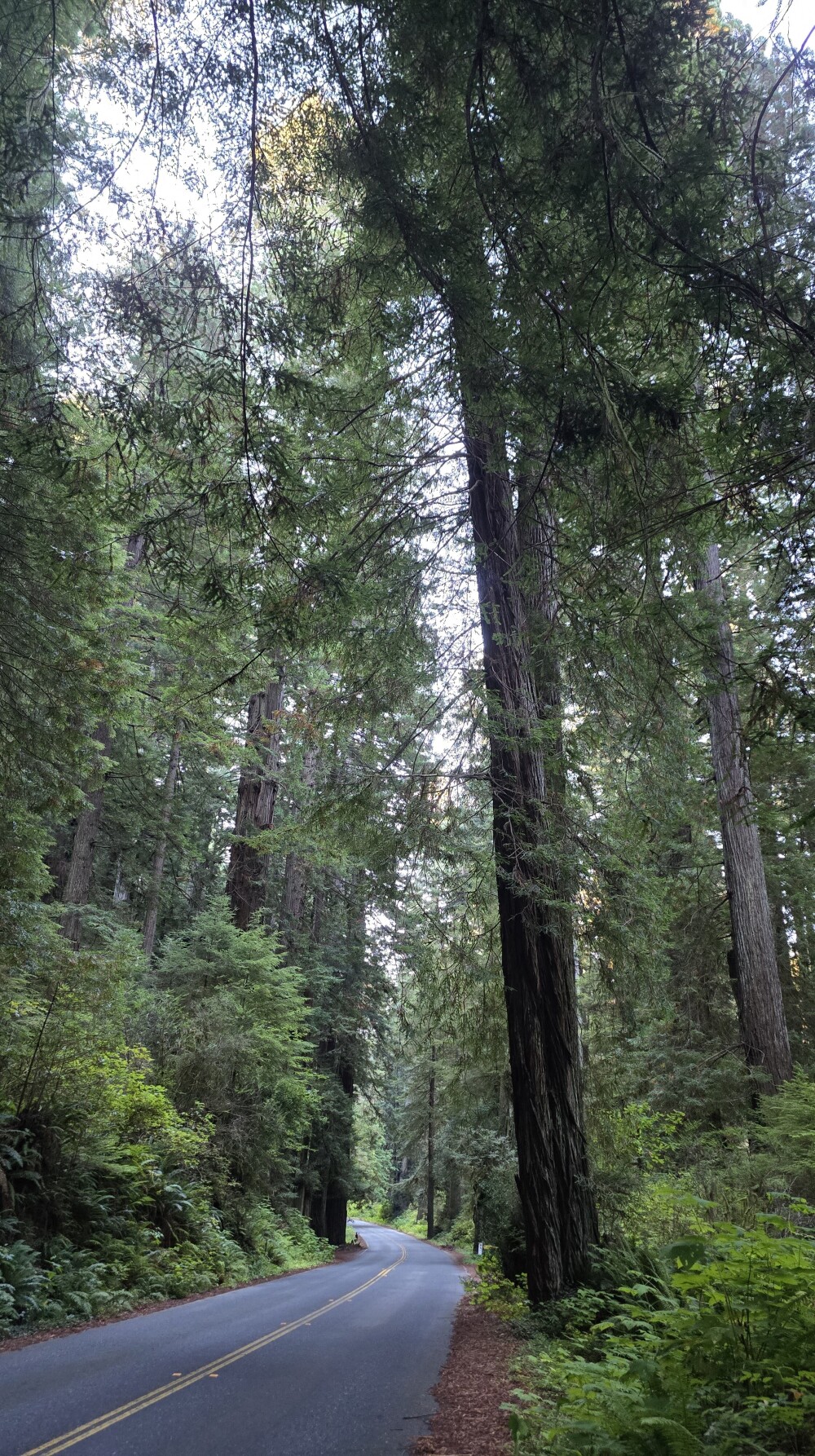 Newton B. Drury Scenic Parkway